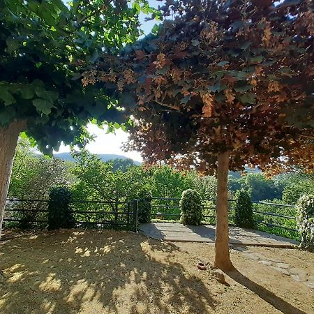 Villa Le Palmine Palazzone Экстерьер фото