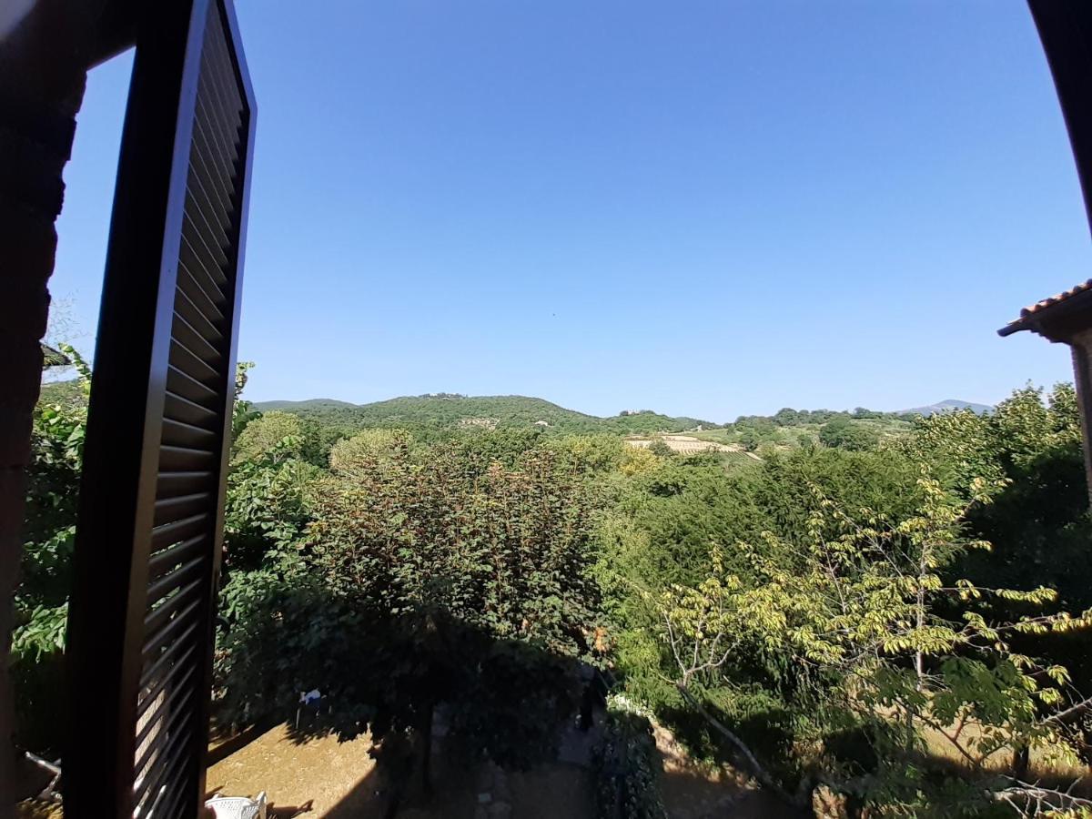 Villa Le Palmine Palazzone Экстерьер фото
