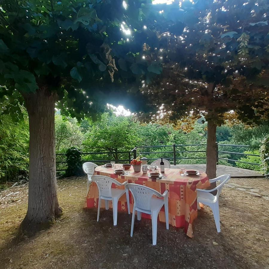 Villa Le Palmine Palazzone Экстерьер фото