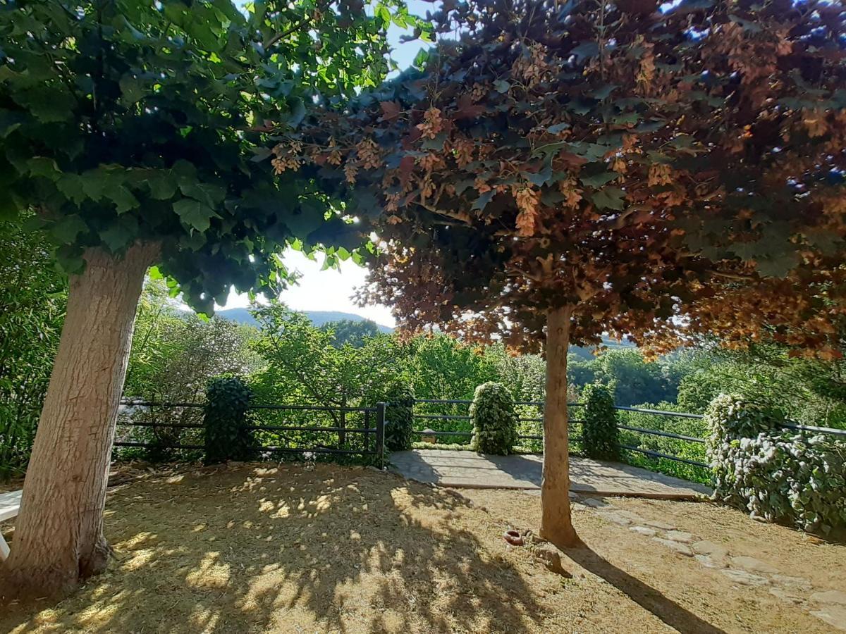 Villa Le Palmine Palazzone Экстерьер фото